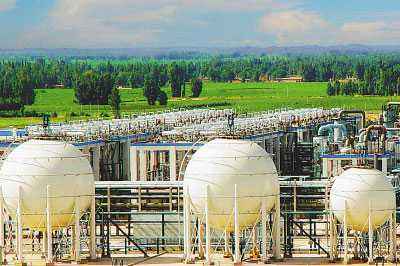 AG Club | The Originator of Live Casino