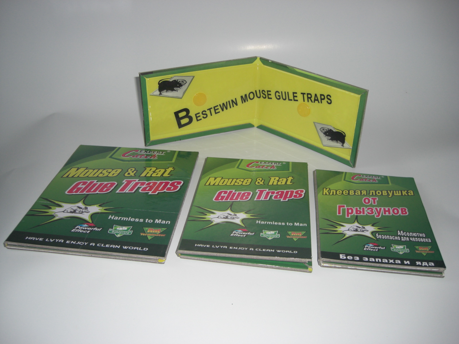 ճ��(0571-88392898)