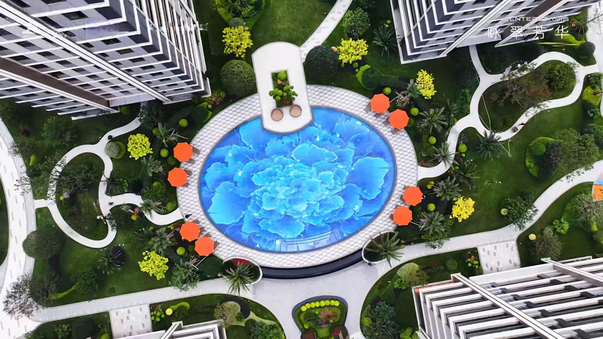 AG Club | The Originator of Live Casino