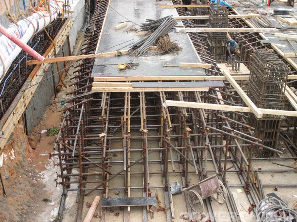 AG Club | The Originator of Live Casino